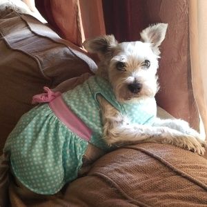 Meet your Posher, Erica